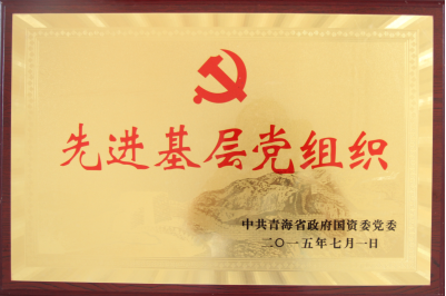 省国资委先进基层党组织（2015.7.1）